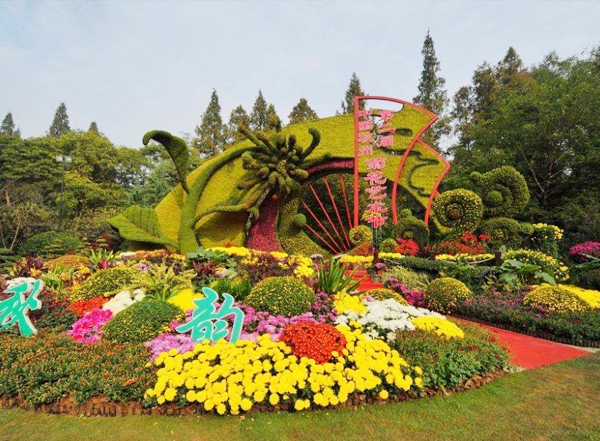 藝菊造型